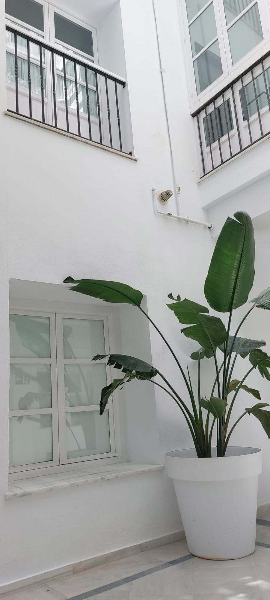 El 2 De Flamenco Bajob Apartamento Cádis Exterior foto